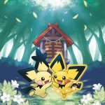 Pokémon HeartGold/SoulSilver4