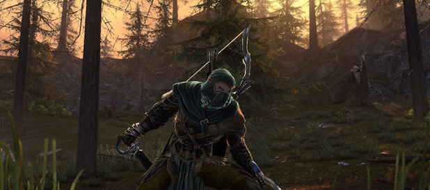 xneverwinter_ban09.png.pagespeed.ic.xx5bcAGaat